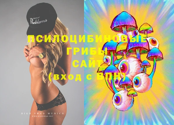 ГАЛЛЮЦИНОГЕННЫЕ ГРИБЫ Вяземский