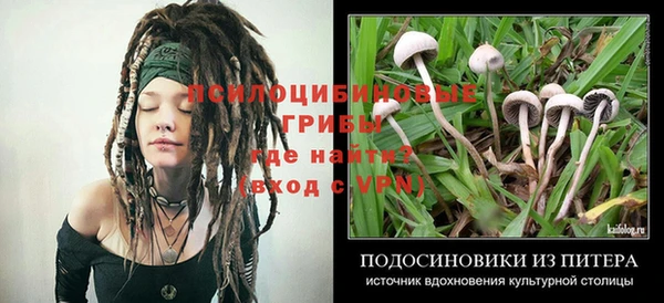 герыч Майский