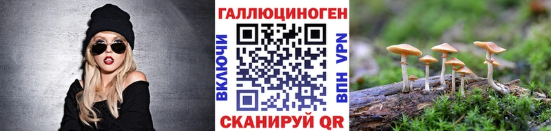 Псилоцибиновые грибы MAGIC MUSHROOMS  сколько стоит  Гаджиево 